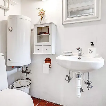 4 Person In * トゥナー